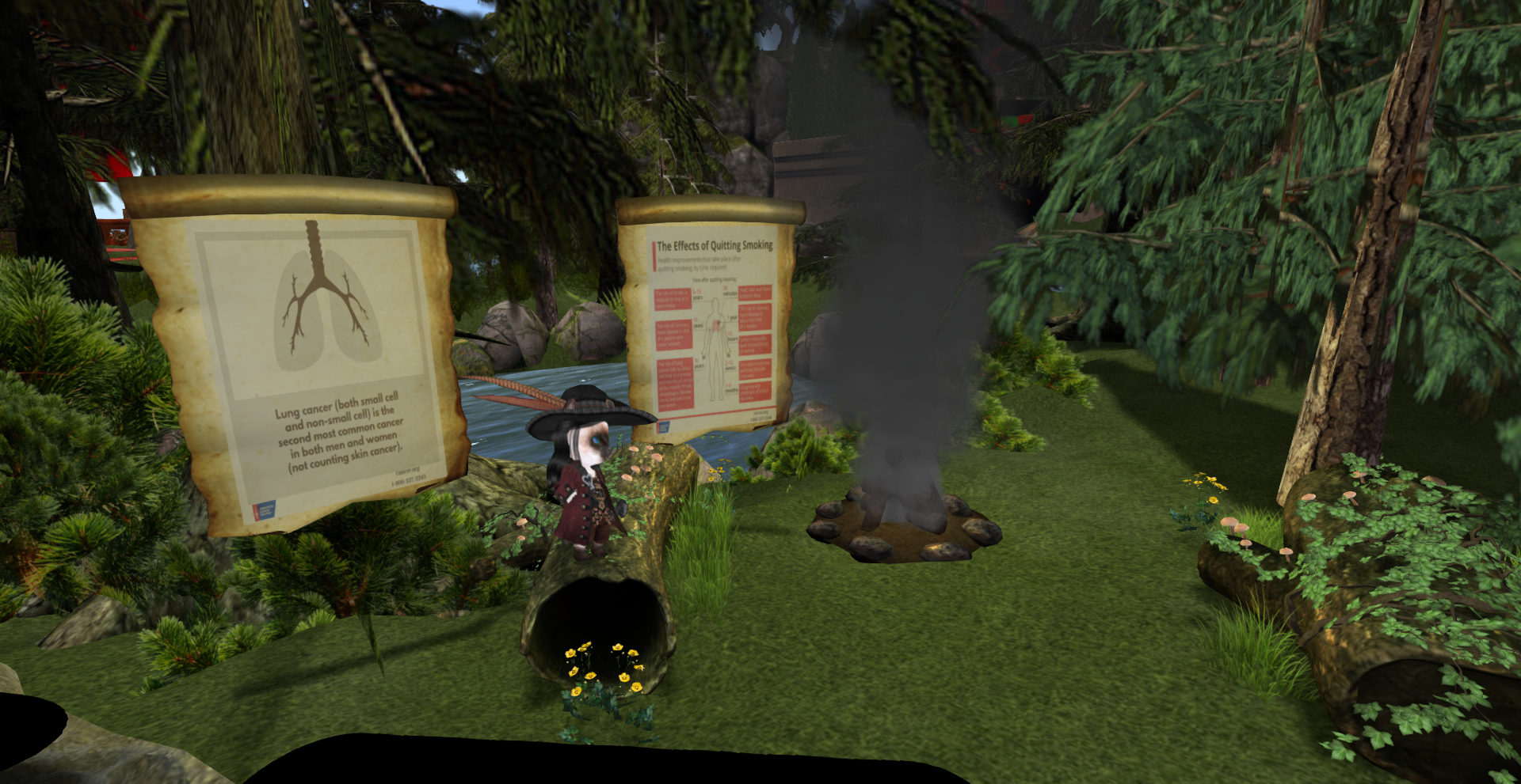 52976342173_d43cf228c8_o