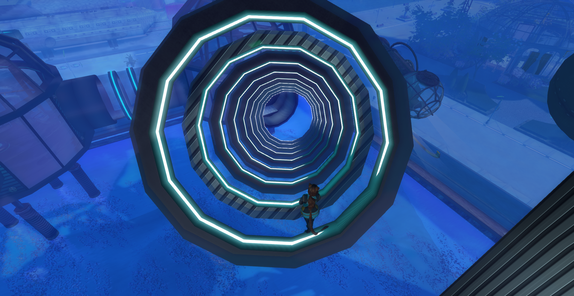 53039247147_46dde122fb_o