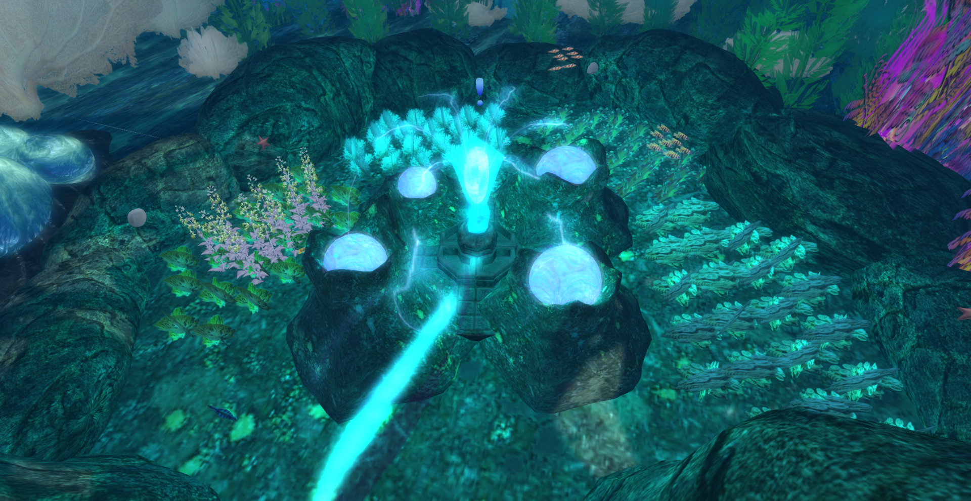 53039837291_1434f11c92_o