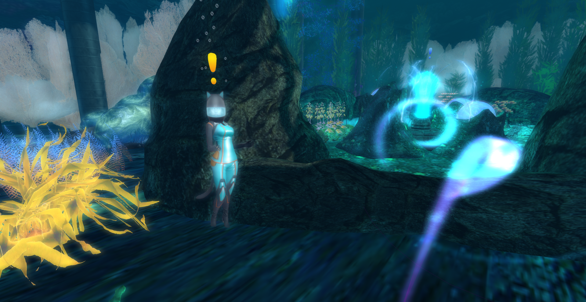 53040020739_7a0f9b73ac_o